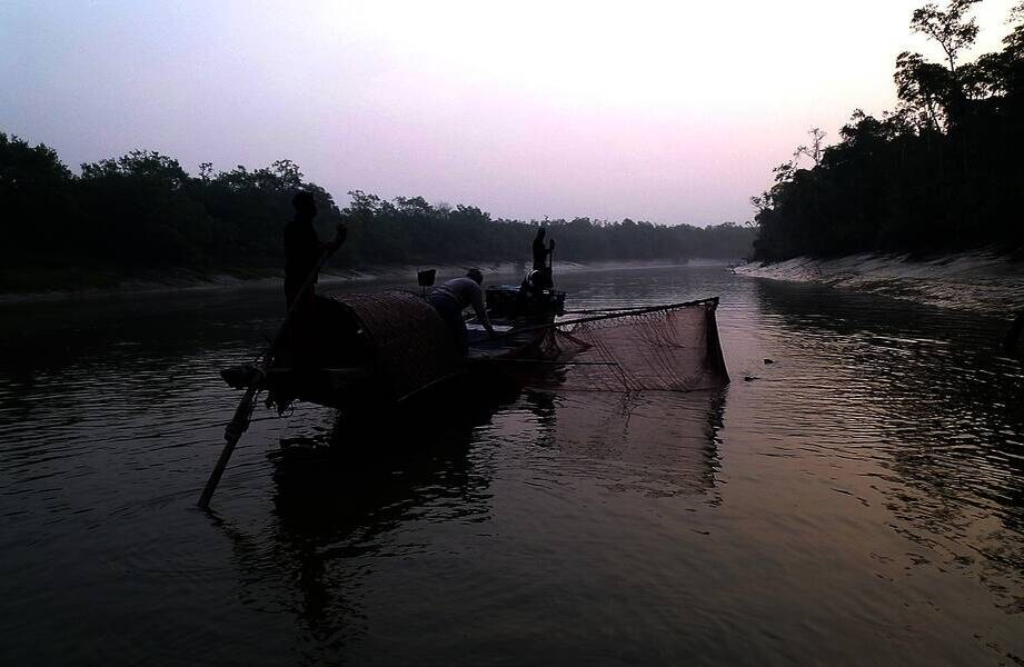    Фото: wikipedia.org