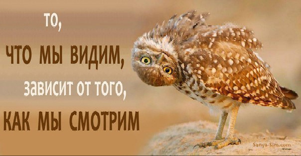 Восприятие мира