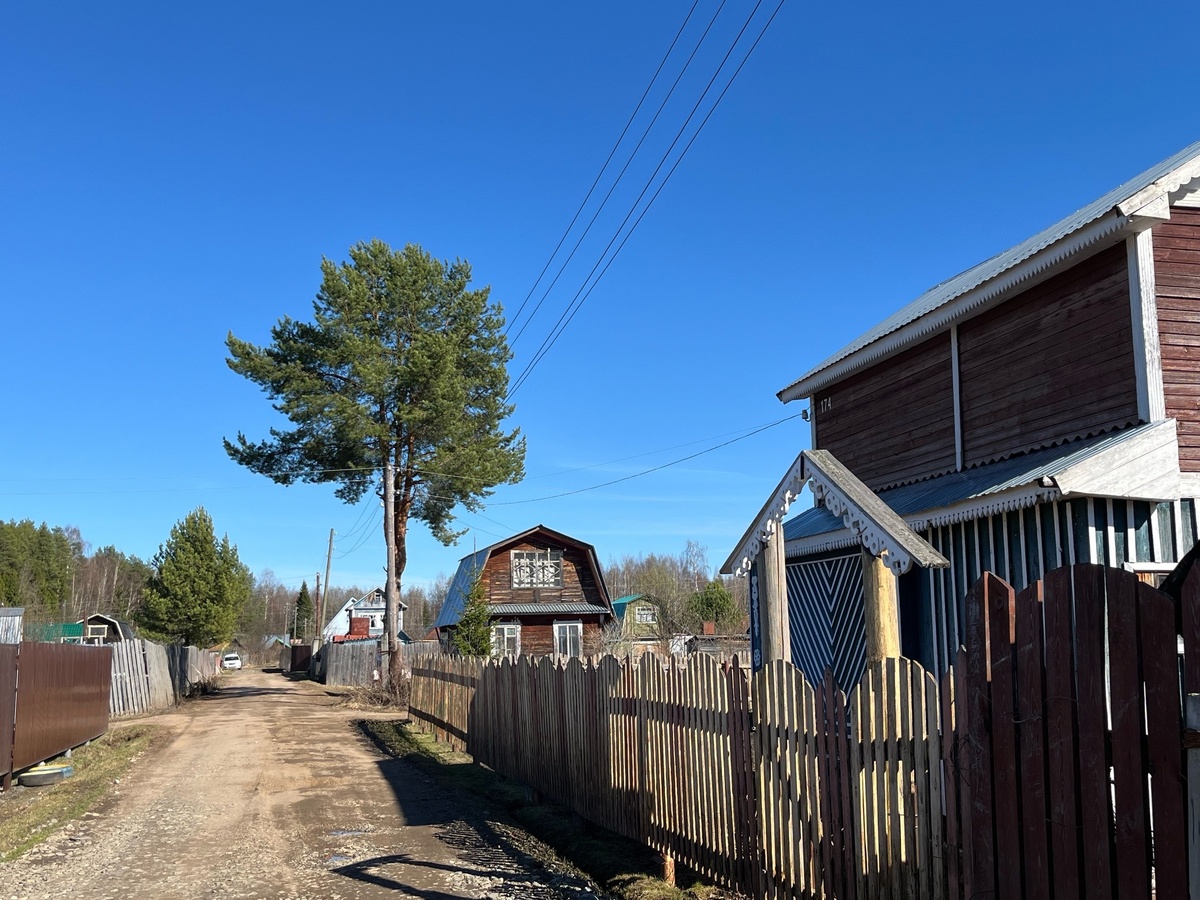    Не пенопласт: утепляем сарай или дачный домик другим материалом - тепло и не продувает