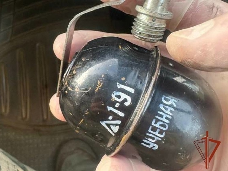     Фото: Росгвардия Алтайский край