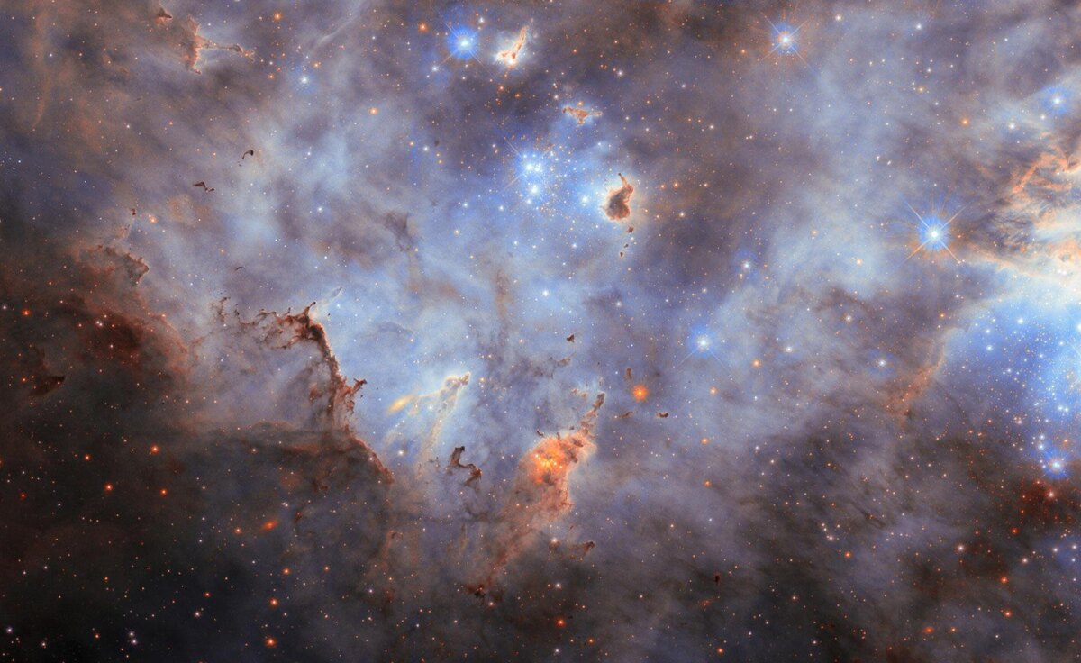 На этом снимке телескопа «Хаббл» изображено звездное скопление N11, фото:NASA / ESA / Hubble / C. Murray / J. Maíz Apellániz.