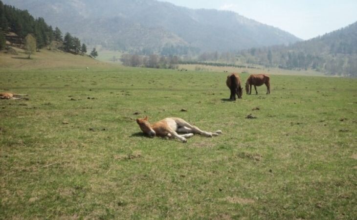 Фото:. ajiotaj.ru