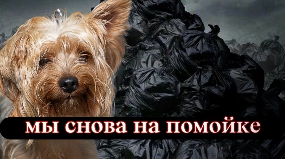 Душит боль и ПОЛНОЕ ОТЧАЯНЬЕ!
