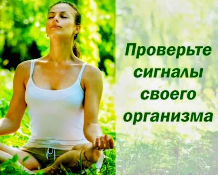 Картинка из интернета 