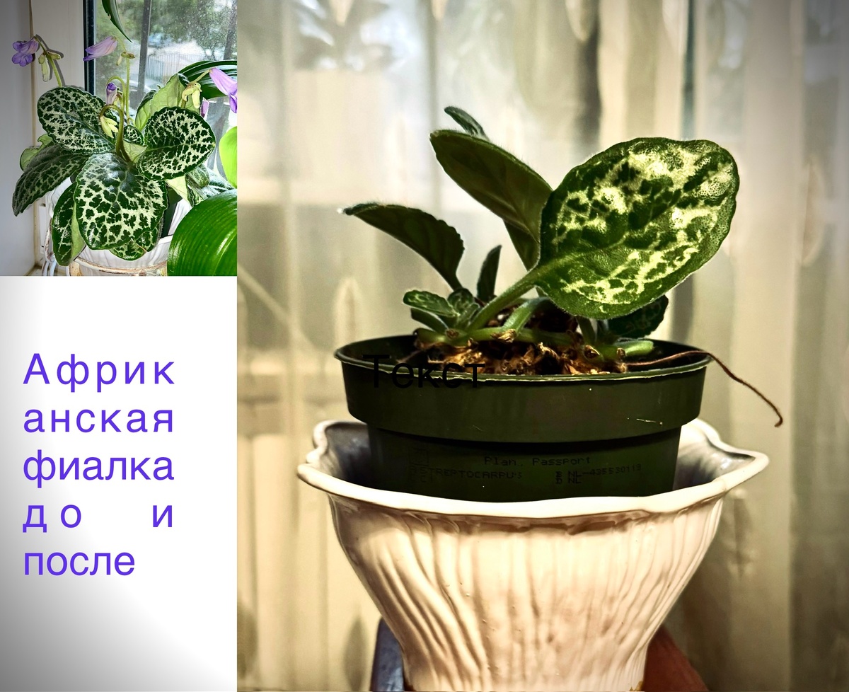 Фото автора.