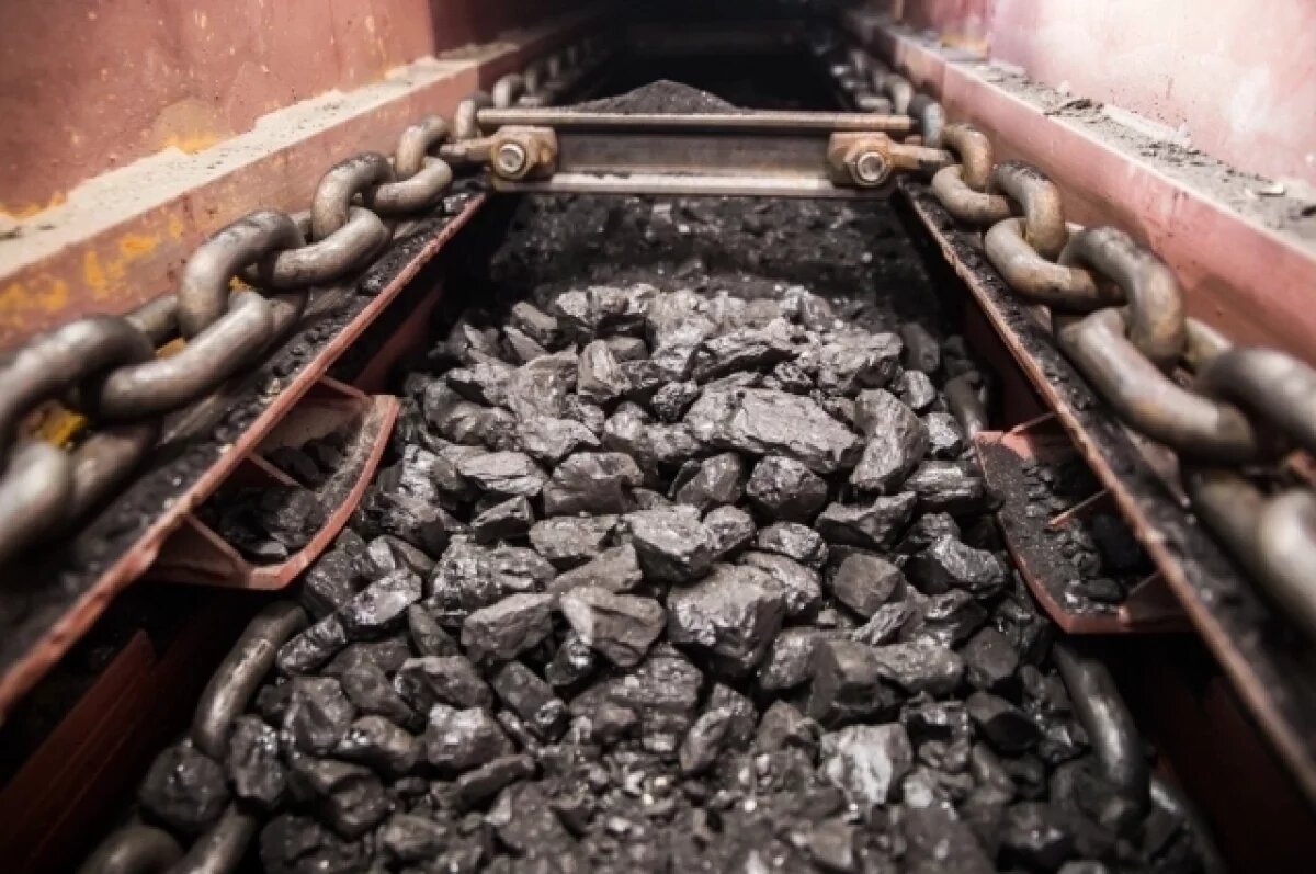    Угольный склад льготного топлива возобновляет работу в Топках