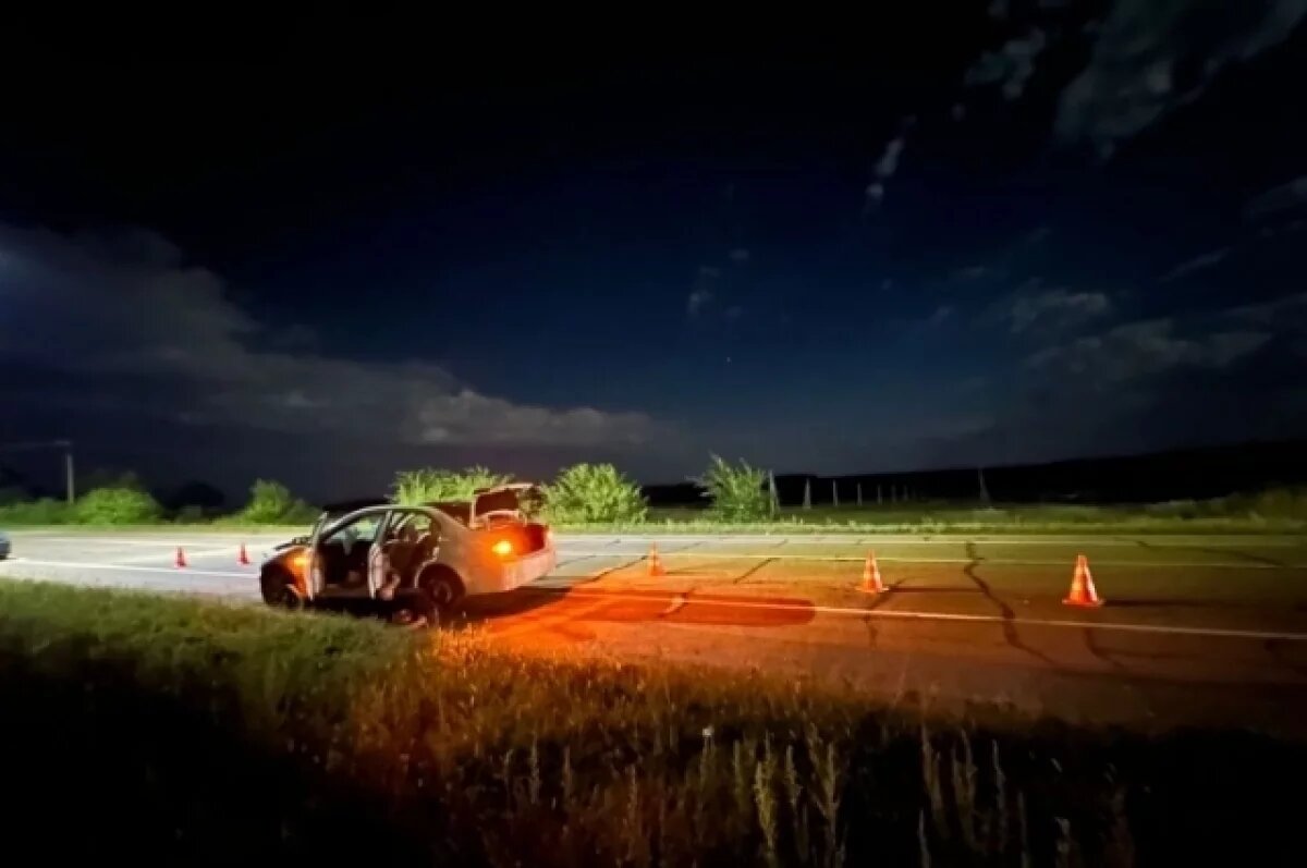   В Приморье водитель без прав врезался в лошадь: погиб пассажир автомобиля