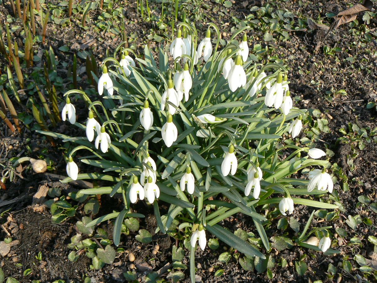 Фото из сети Интернет