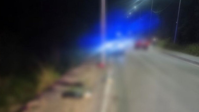 Фото: Пресс-служба ГУ МВД России по г.Санкт-Петербургу и Ленинградской области