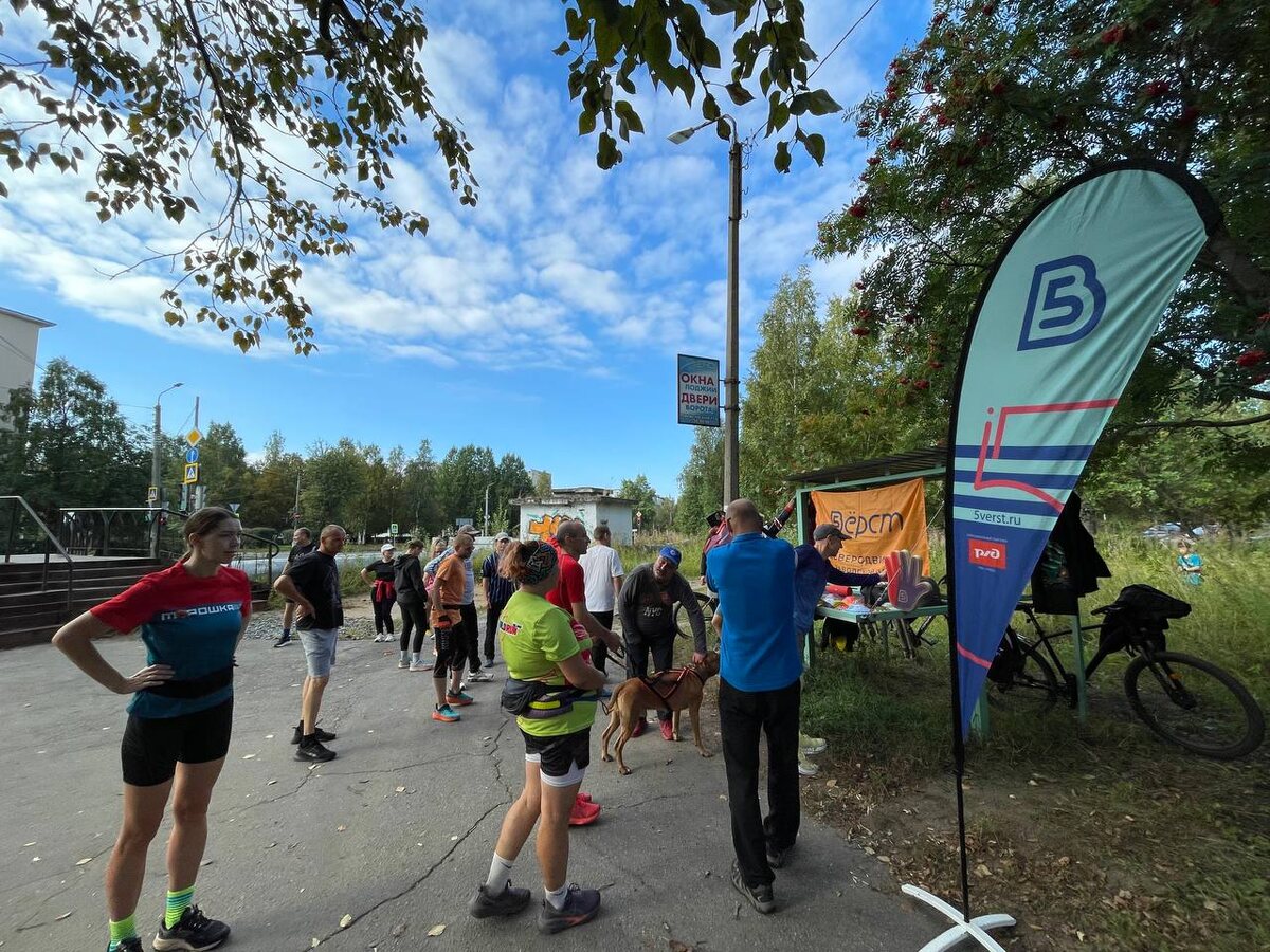 точка сбора