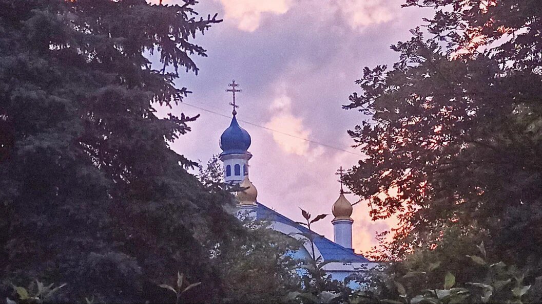    ФОТО: Царьград