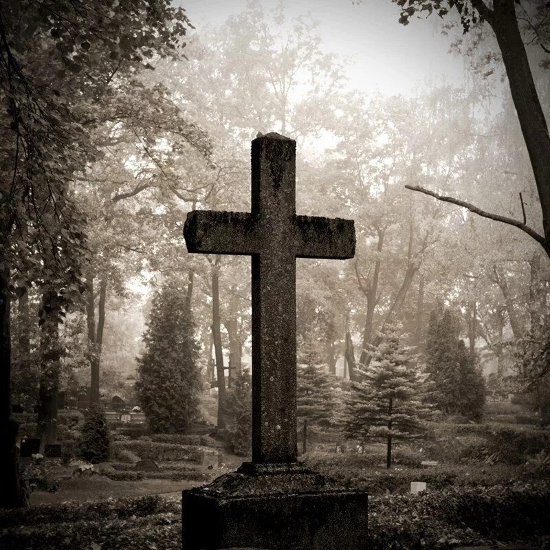 Изображение взято из открытых источников интернета. 