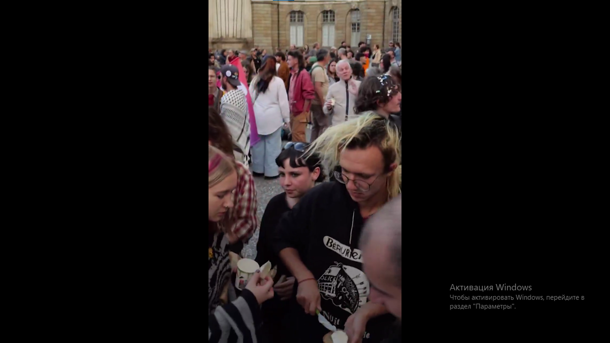 Сторонники Меланшона. Скриншот с сайта AFP.