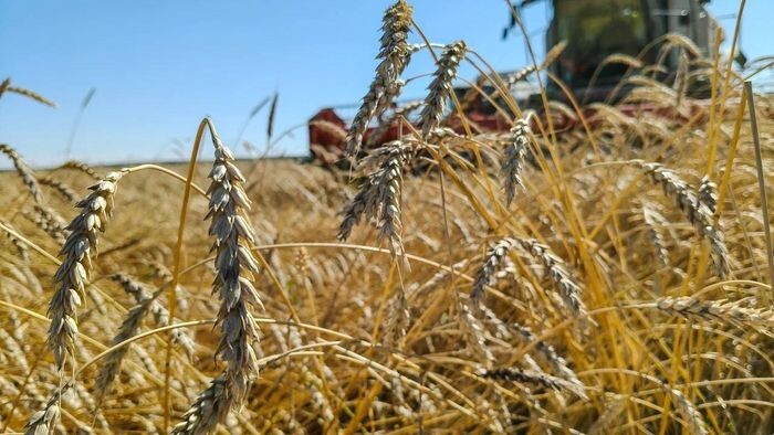    Вячеслав Крузман