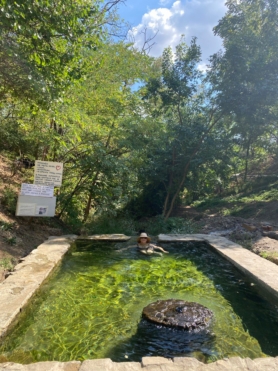 Александровский(Аглицкий) родник, Ростов-на-Дону. Фото автора