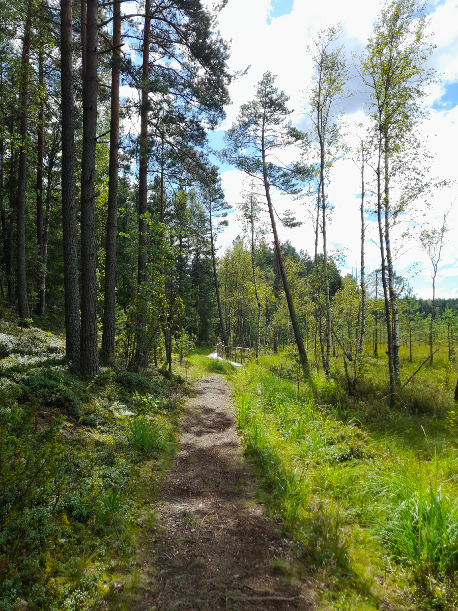 Путь к Мёртвом озеру