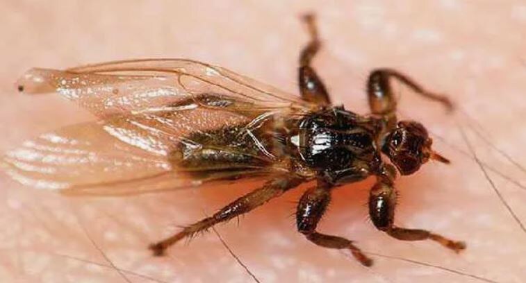 Фото из интернета