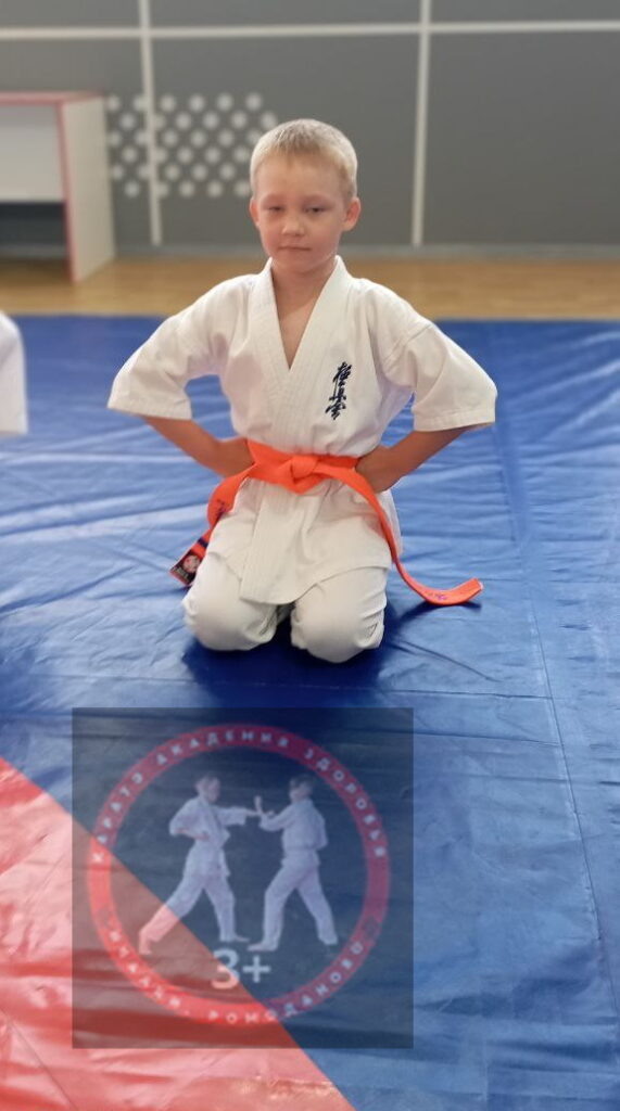 бесплатное пробное занятие в Академии карате 