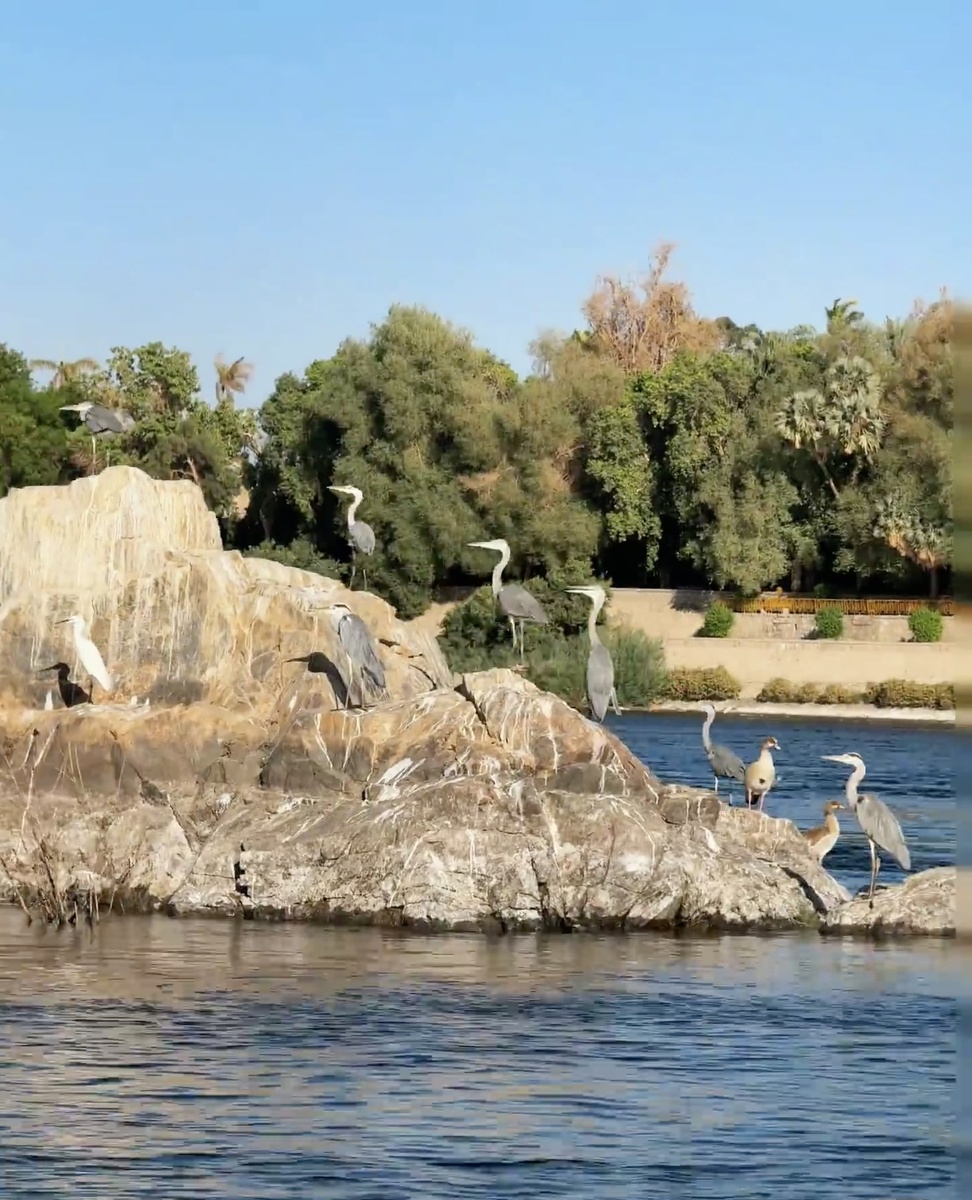 Парк в Египте