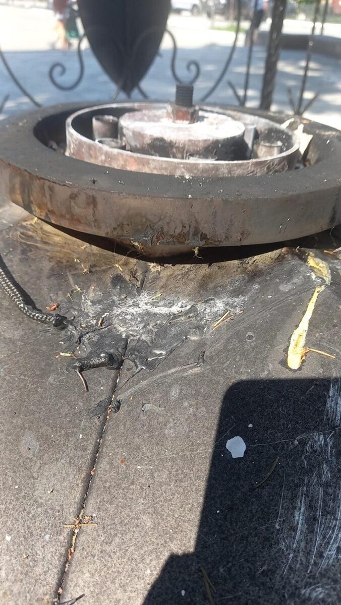    Фото: «Сосновская нива