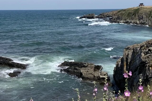    В результате падения сбитого БПЛА в Сочи погиб один человек: что известно?