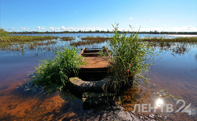    © Анастасия Илюшина / ЛенТВ24. Архивное фото