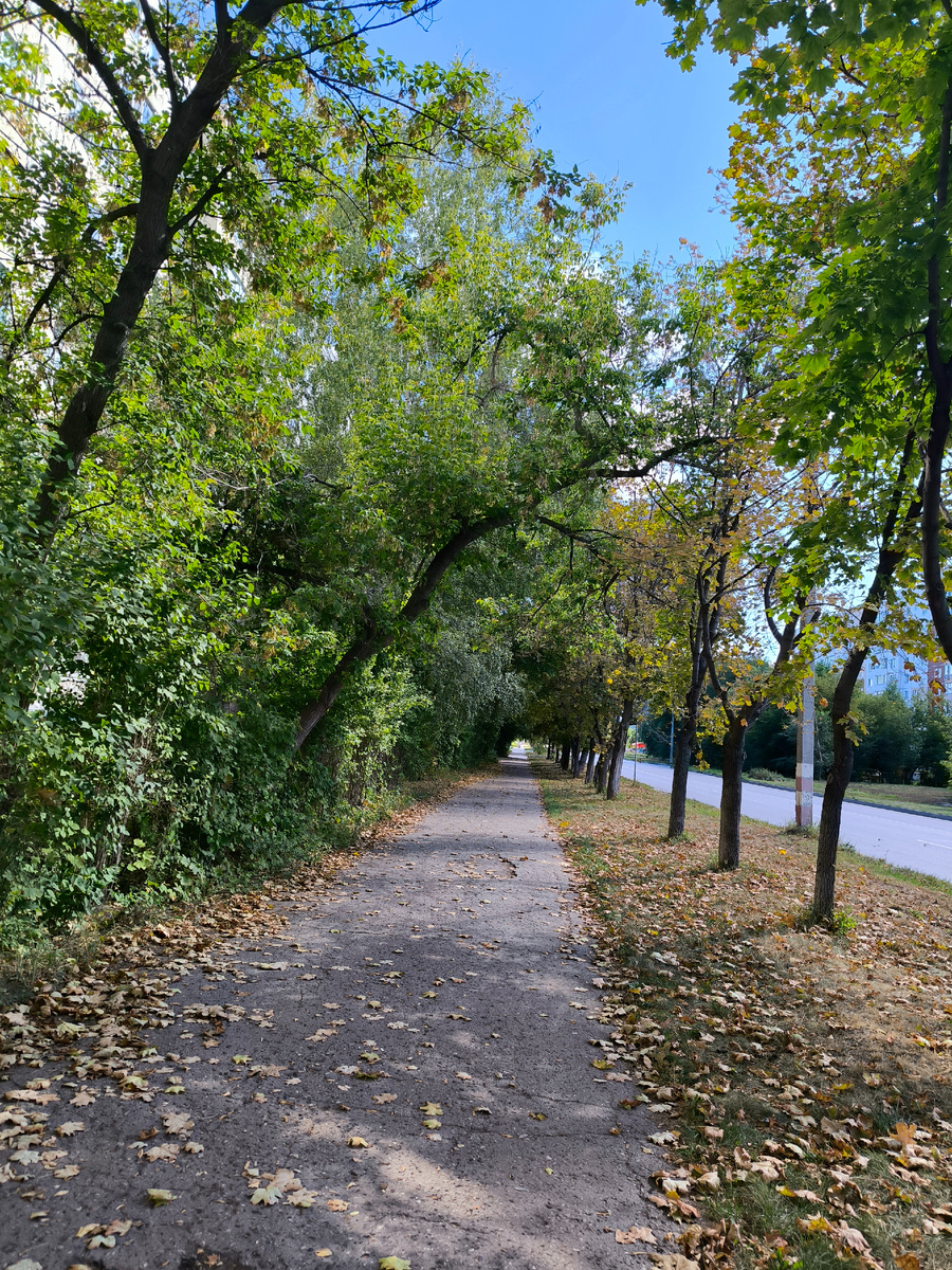 Фотографии в статье авторские