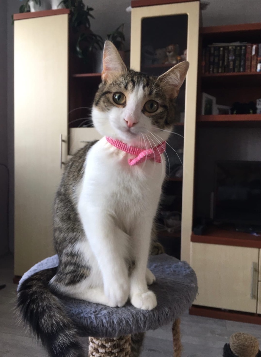 Бруно. 02.09.2021-08.09.2022г. 