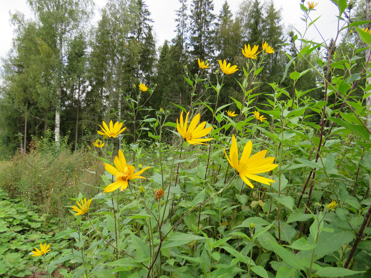 Валдай 2025, фото автора