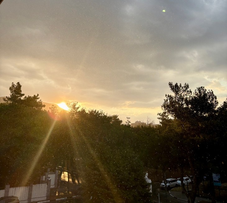    погода Редакция Газеты