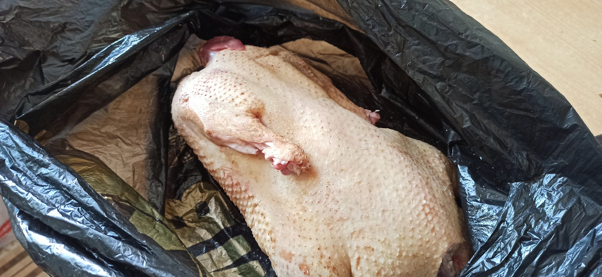 Свежая утка