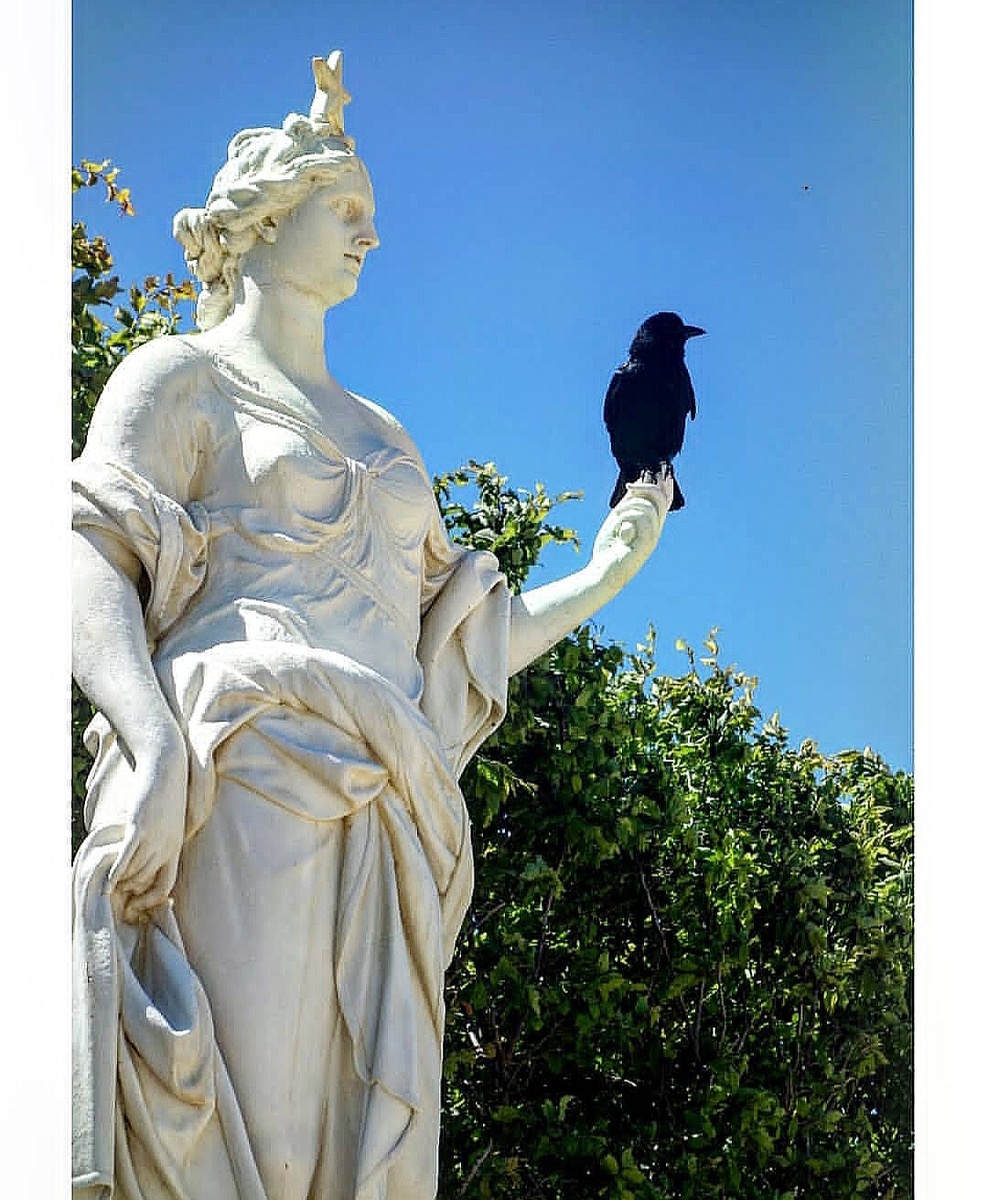 Утро в Версальском саду. Фото автора.