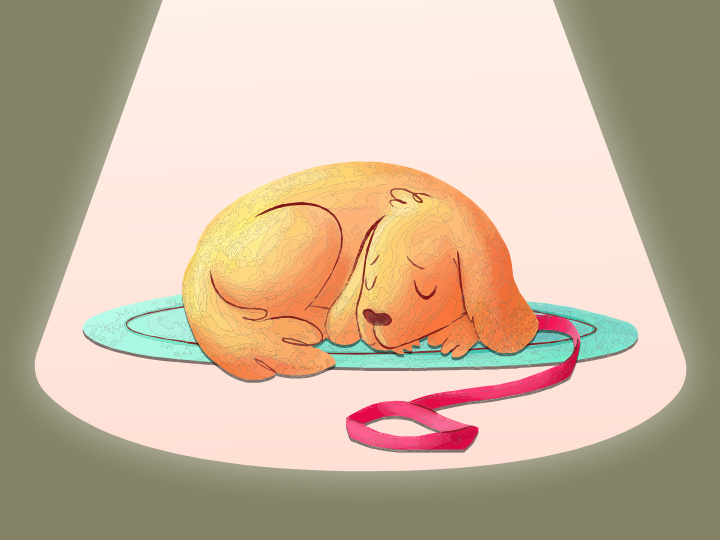 Источник: https://ru.freepik.com/, @pikisuperstar