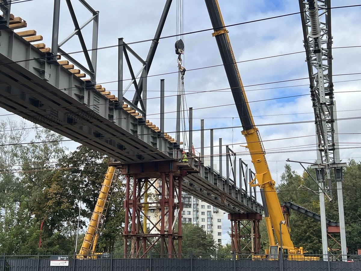 Листаем галерею. Фото автора