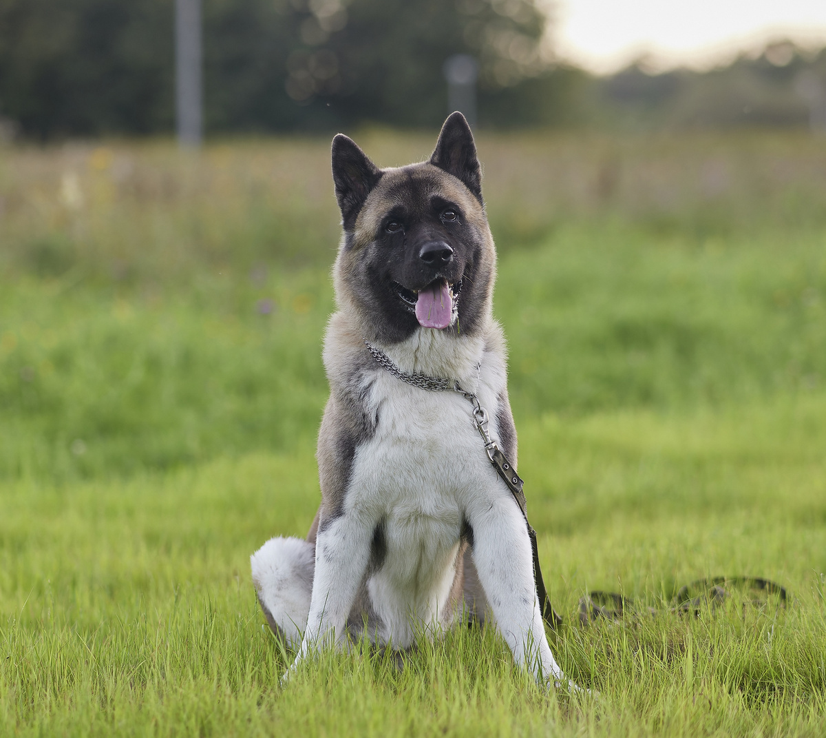 Герой мифов и легенд, Зевс.