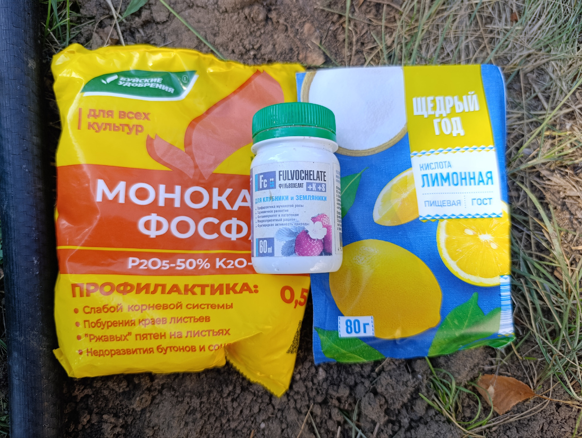 Подкормка осенью для будущего урожая и цветов.