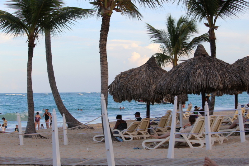    Фото: Коллаж Царьграда