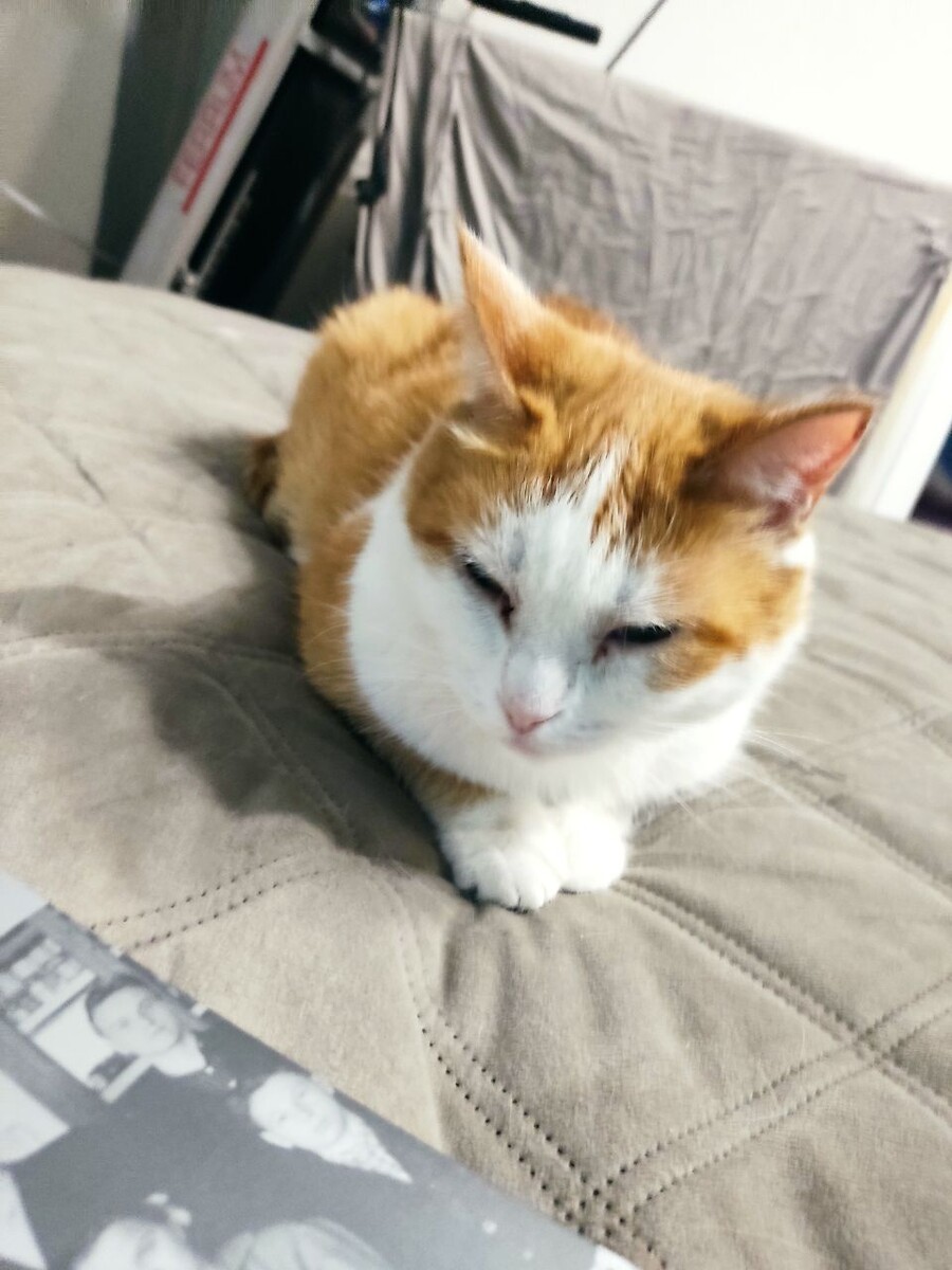 Наш акын Муся