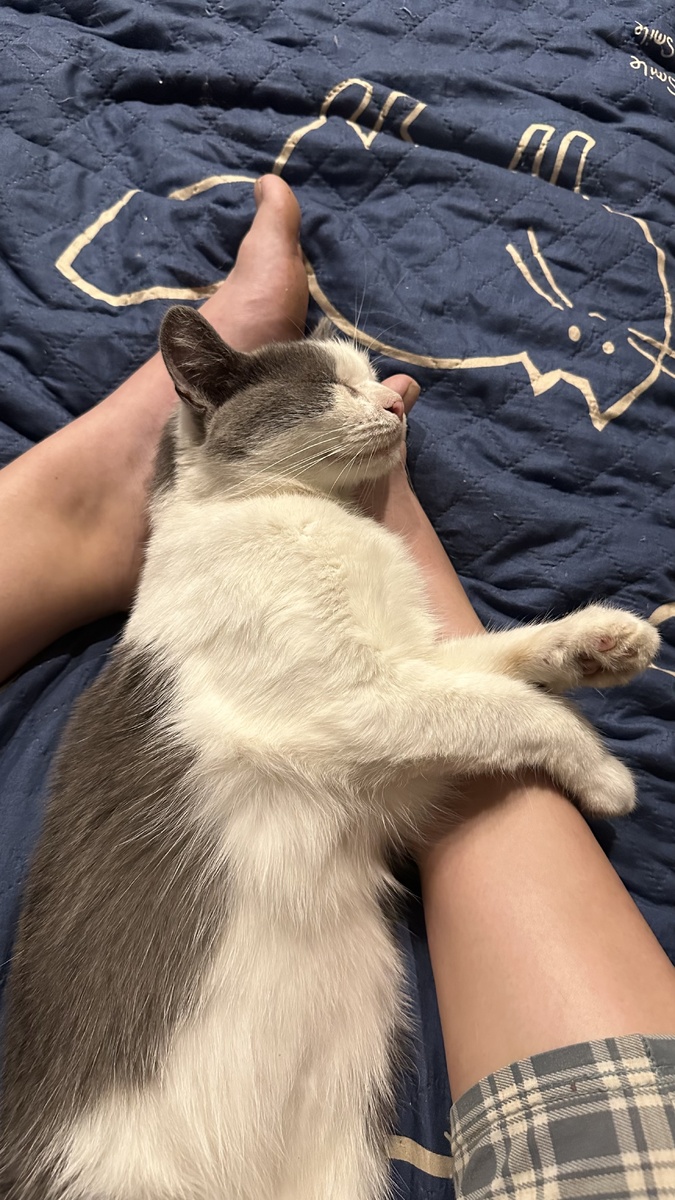 Моя детка. Все равно рядом со мной. Но успокоилась и расслабилась