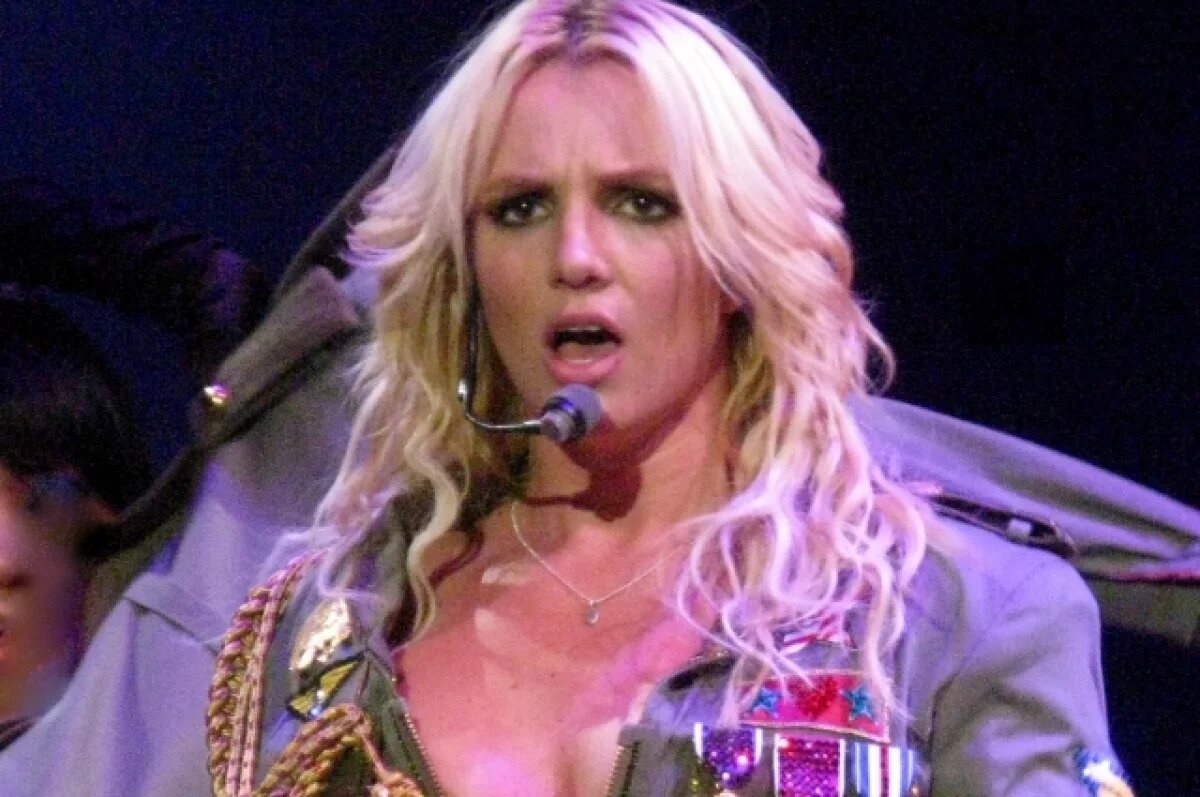    Семья Бритни Спирс встревожена ее жизнью в доме, забитом фекалиями собак