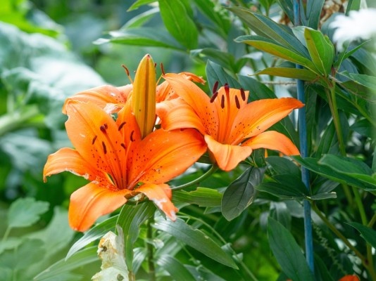 Источник фото shutterstock.com