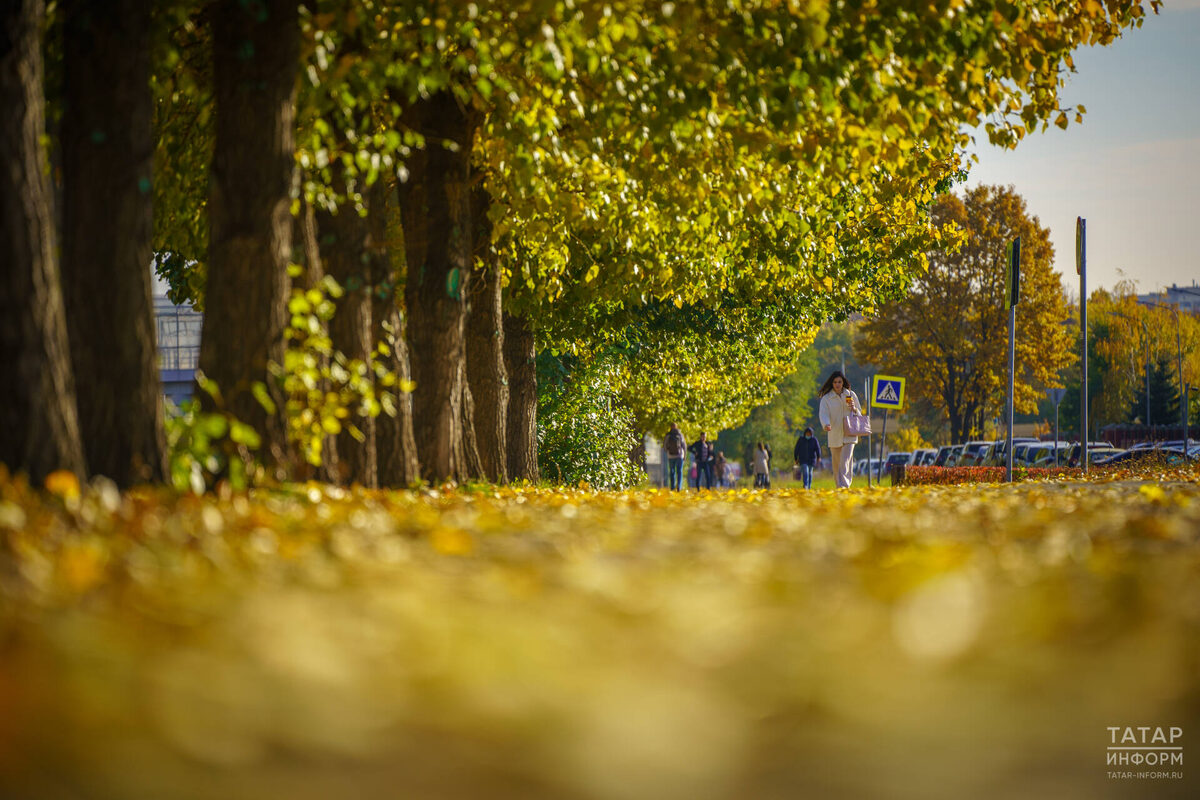 Фото: © Владимир Васильев / «Татар-информ»