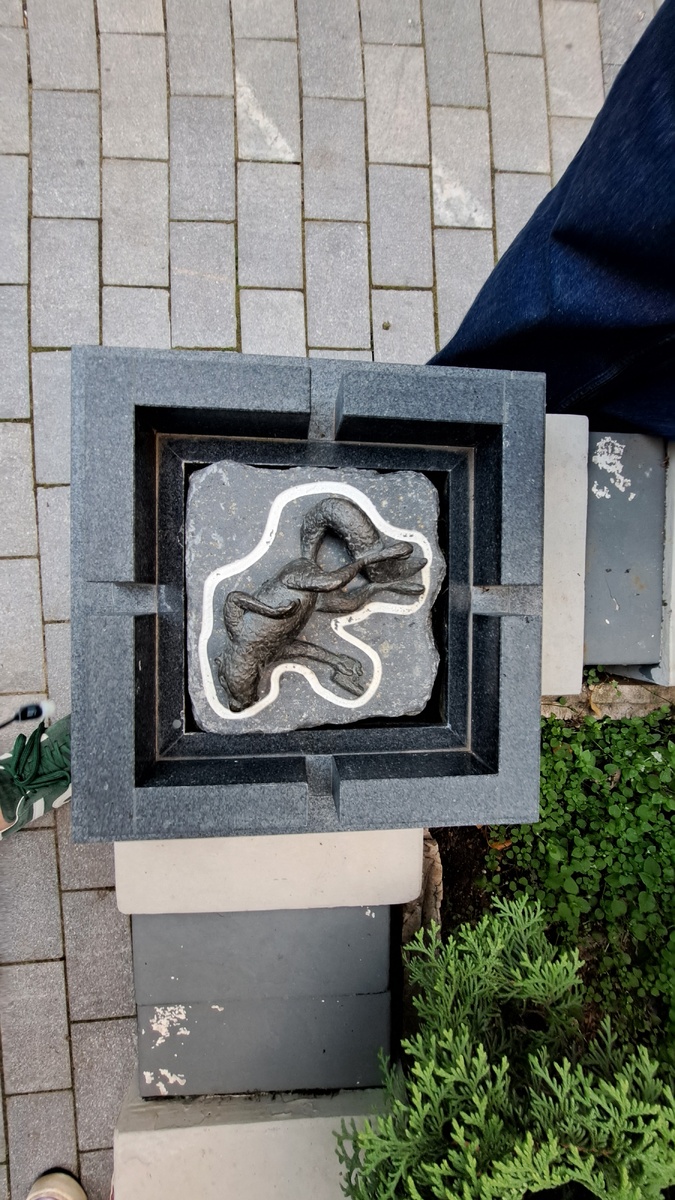 Та самая белка