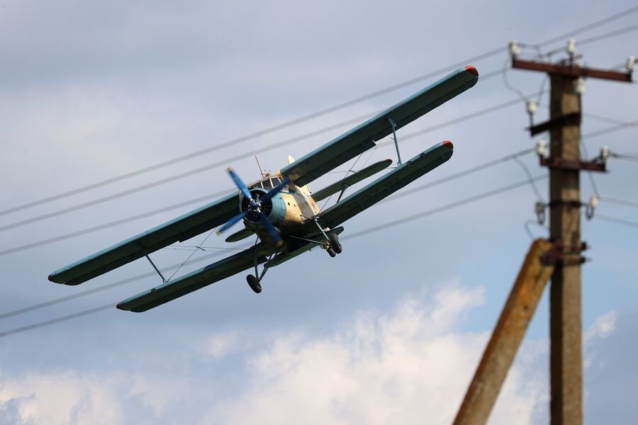     / Источник: © Эрик Романенко/ТАСС