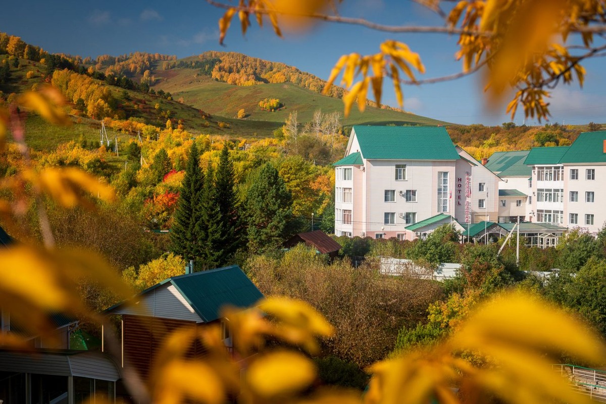 Как выглядит