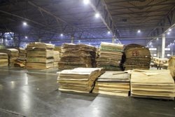     Тюменский завод занимался производством фанеры и других продуктов деревообработки Ася Бронникова