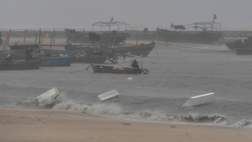    Фото: www.globallookpress.com/Yang Guanyu; 5-tv.ru