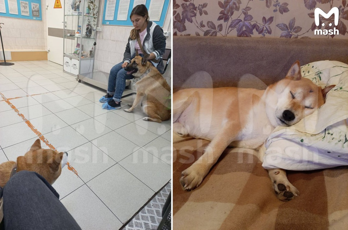 Фото из соцсетей