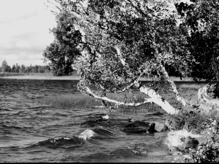 лесное озеро, фото моё 