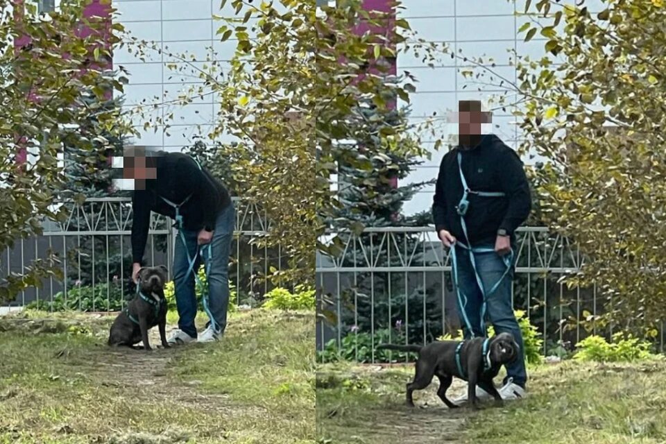    Фото: КП-Новосибирск